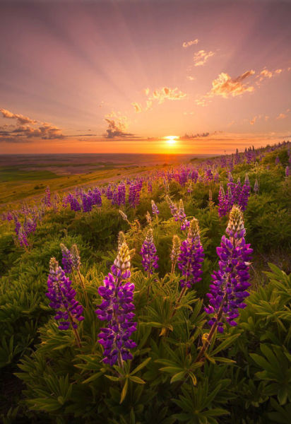 摄影师拍美国广袤草原美若仙境