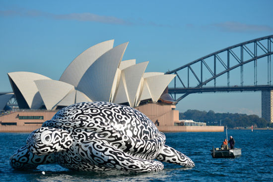 巨龟驶入悉尼港