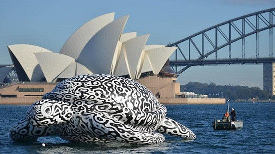 澳大利亚著名的悉尼港日前出现一只巨型海龟，这只充气海龟高达15米，制作海龟的艺术家希望人们通过海龟能关心珊瑚礁的生态情况。