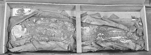 图片</p>

<p>　　该博物馆内储藏着大量乌尔王国工艺品，因为英国考古学家Sir Leonard Woolley曾于1922年领导了一次由大英博物馆和宾夕法尼亚大学博物馆联合进行的著名挖掘行动，并找到了大量珍贵的石器和陶罐及古代活人祭品。但研究者认为这30具发掘出的骨骼已经送回伦敦，博物馆只保留了工艺品。</p>

<p>　　该博物馆考古学家Brad Hafford阅读了Woolley留下来的笔记并吃惊地发现，有两具骨骼还留在博物馆内。他和Monge来到存放木乃伊的房间仔细寻找，终于在一个满是生锈钉子的箱子内找到了骨骼。</p>

<p>　　Hafford说，骨骼的主人约50岁左右，生活非常优越。他身高约1.7米——在当时算是很高了，因为那时人类的平均身高只有1.6米。</p>

<p>　　尽管这名乌尔人身体非常健康，但历经6000多年的岁月及80多年的储存，其骨骼已经受潮且有了一定程度的损坏，但Hafford说现有的技术能够修复。</p>

<p>　　为了避免骨骼遭到进一步损坏，博物馆并不打算将其展出，不过可能会将它提供给博物馆下属的保护实验室。不过，该骨骼终将在一个虚拟世界中找到归宿——Hafford正在领导一个乌尔王国数字化项目，希望将所有Woolley挖掘到的工艺品收集起来，在网上展出。</p>

<p>　　与此同时，Monge已经制定了针对该骨骼的研究方案。她认为首先应当进行的是CT扫描，这可以帮助确认骨骼的主人是否像研究者设想的那般健康。研究者还将从他保存完好的牙齿中提取DNA样本，或利用同位素化学分析法弄清他一般都吃些什么。</p>

<p>　　博物馆近东分区馆长Richard Zettler认为，这块骨骼告诉人们的不仅仅是他的个人信息。他说：“该骨骼的主人生活在一个大剧变时期，人们开始有组织地聚在一起，成为城市居民 。”(段歆涔)</p>

<p>　　</p>
<!-- publish_helper_end -->
                 

					<div class=