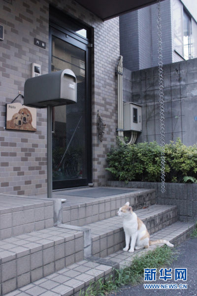 猫町美术馆外景