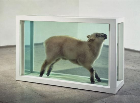 《离群的羔羊》