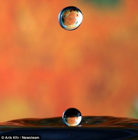 以色列摄影师拍水滴艺术 1