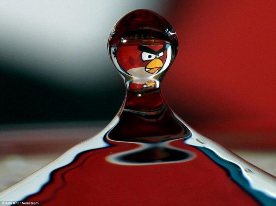 以色列摄影师拍水滴艺术 4