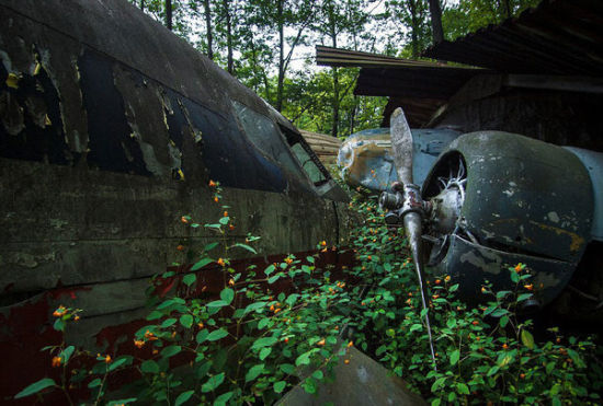 美国男子收藏的二战战斗机