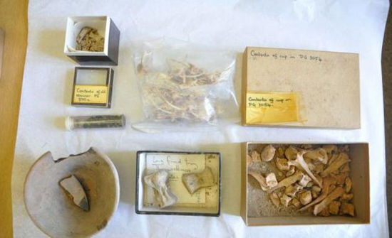 英大学清理实验室发现4500年前文物，系伊拉克古王墓祭品。
