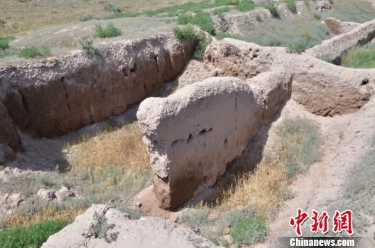 图为碎叶城遗址。 孙亭文 摄