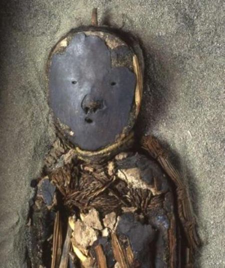 智利学生野外游玩时发现7000年古老木乃伊