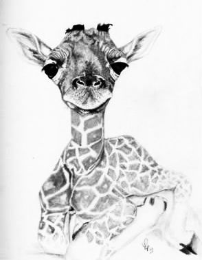 英国女子皮普·泰勒的画作