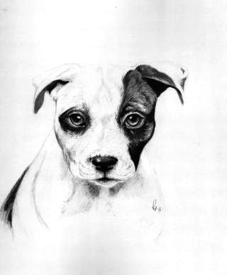 英国女子皮普·泰勒的画作