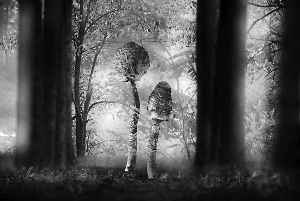 英国野生动物摄影作品