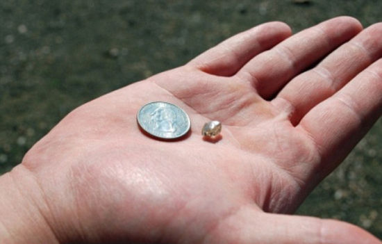 美国男子公园内发现近3克拉钻石