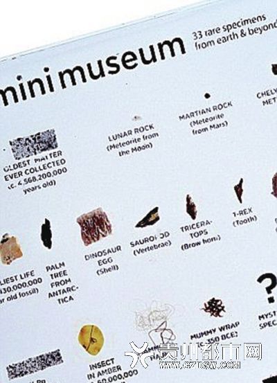 迷你博物馆的部分清单。物馆包括11件样本，中号包括22件样本，大号为33件。 
