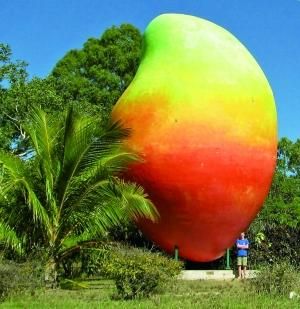 澳大利亚地标大芒果塑像