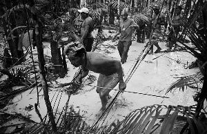 淘金者的狂挖乱掘破坏了当地的环境，威胁土著人的生存。 