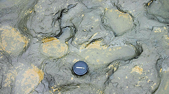 英格兰东部沿海地区发现的一组人类脚印确认为80万至100万年前遗迹。