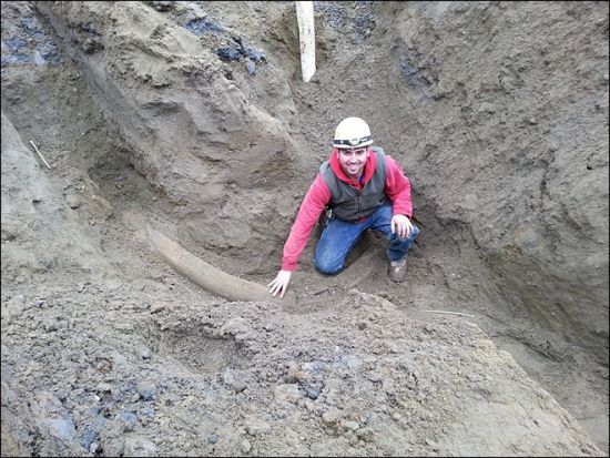 建筑工人发现猛犸象牙