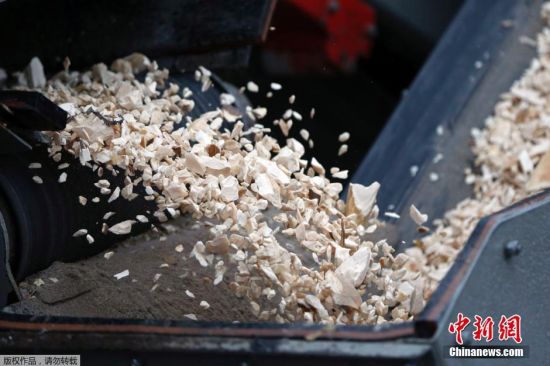 法国公开销毁逾3吨重价值百万欧元象牙