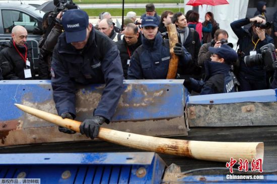 法国公开销毁逾3吨重价值百万欧元象牙