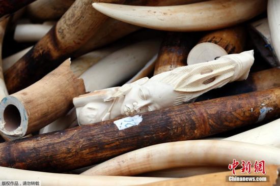 法国公开销毁逾3吨重价值百万欧元象牙