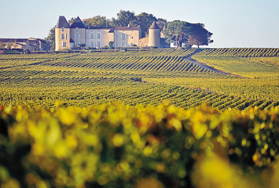 2012年9月20日，法国波尔多一个酒庄（东方IC供图）