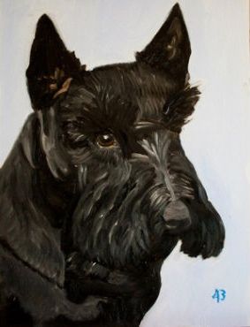 布什给小狗巴尼的画像