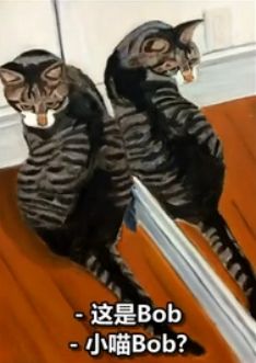 布什给小猫Bob的画像