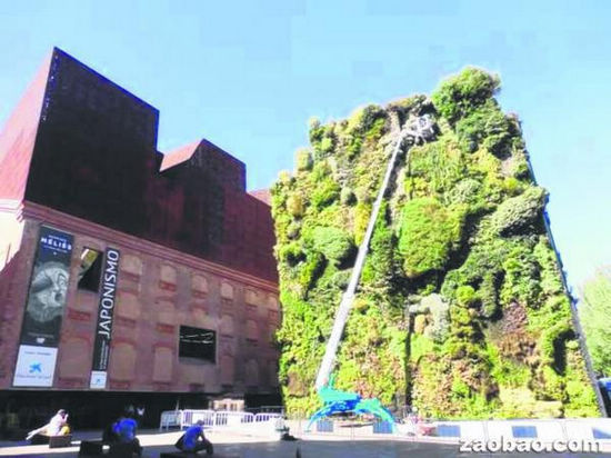 图取自新加坡《联合早报》