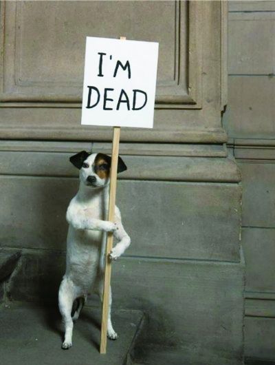 2013年特纳奖提名展作品