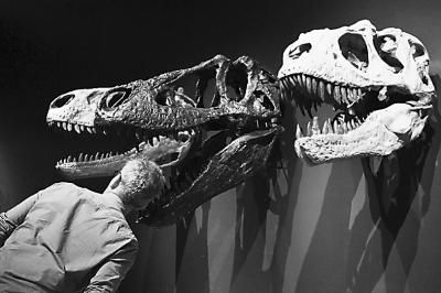 中国恐龙化石在悉尼展出