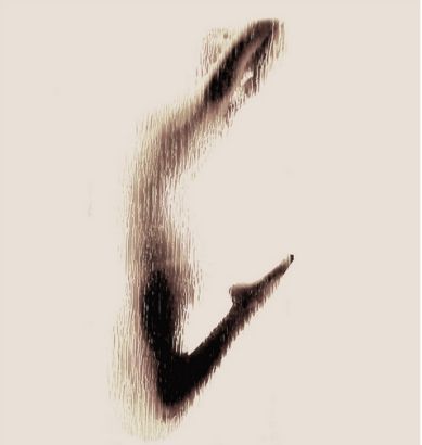 美女裸体呈现英文字母剪影