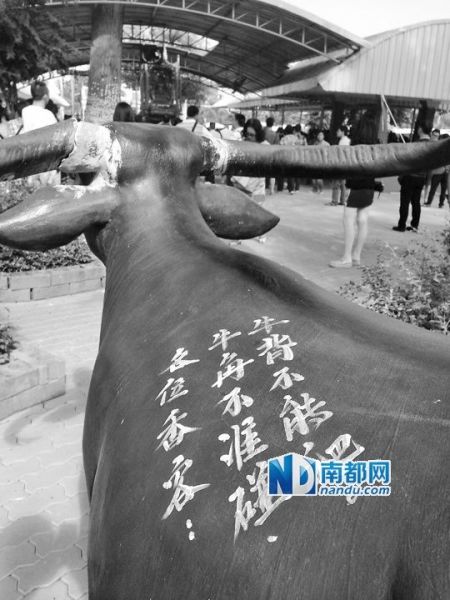 泰国寺庙的牛雕塑上，用中文写着禁止攀爬的告示。 