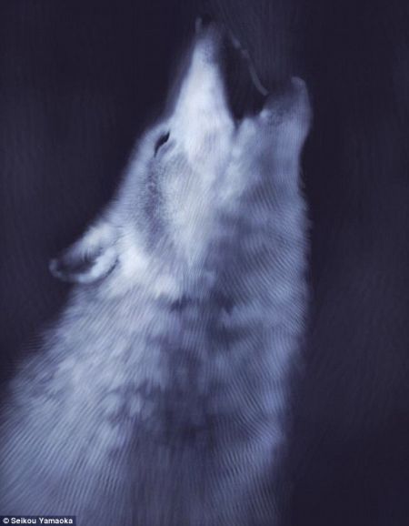 手指画遇上高科技：上班族手机上绘名画走红