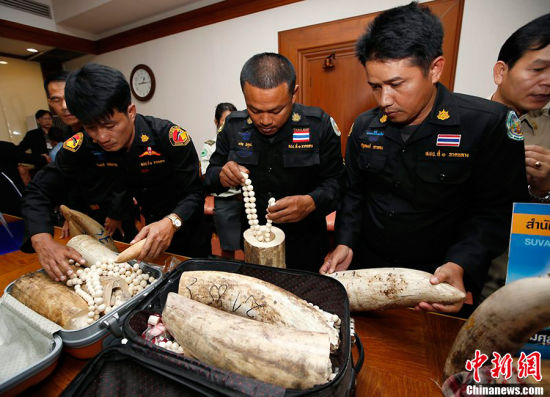 泰国海关缴获的走私象牙