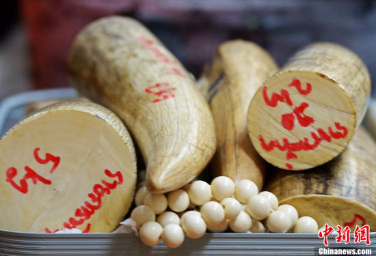 泰国海关缴获的走私象牙