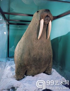 特纳当代艺术美术馆某展览现场