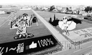 使用7种颜色9个品种的水稻绘制出的日本花魁（左）和美国女演员玛丽莲·梦露。