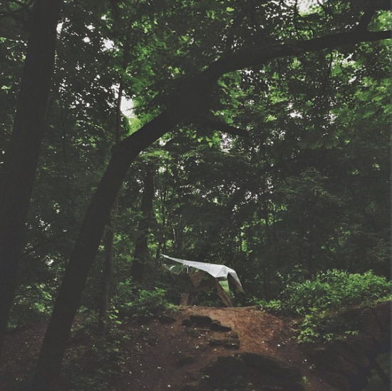 PavelPlatonov最新作品