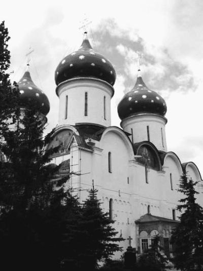 俄罗斯是一个拥有丰富历史文化古迹的国家，《俄罗斯联邦行政违法法典》修正案加大惩处力度，损毁世界遗产名录中的文化古迹最多可罚6000万卢布。图为1993年被列为世界遗产的圣三一教堂群。