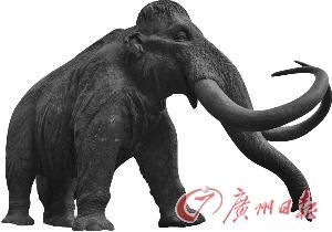 图为俄罗斯西伯利亚汉特-曼西斯克市一座猛犸象雕塑。