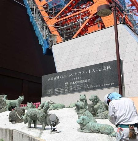 设置在东京塔下的日本首次南极探险队15只桦太犬纪念塑像