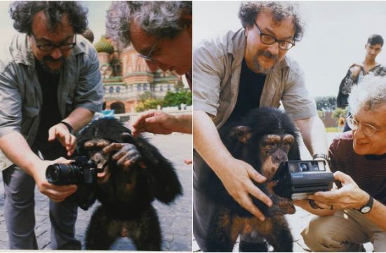 黑猩猩的摄影作品登苏富比拍场：估价达10万