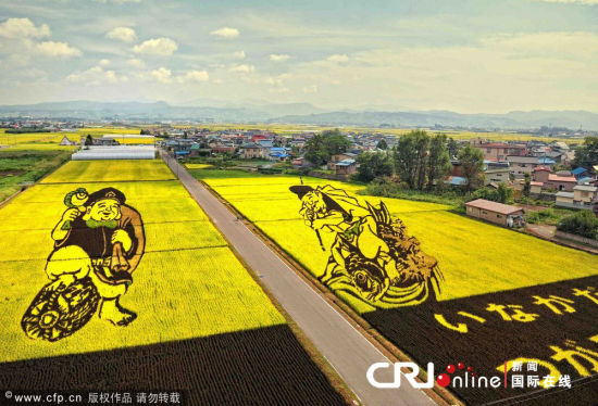 令人叹为观止的日本稻田画