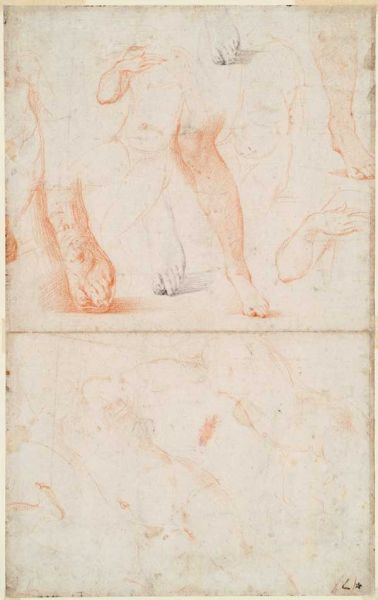 帕米贾尼诺的红铅粉素描《长脖子的圣母玛利亚》失而复得