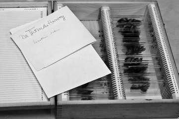 爱因斯坦的脑组织切片