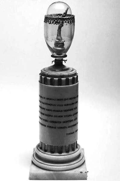 伽利略的一根指骨