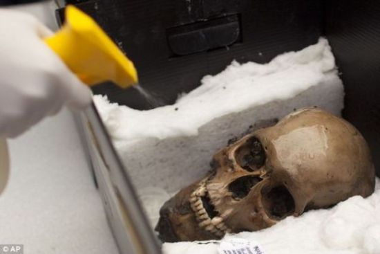 研究人员可能发现墨西哥古老文明血腥史中最大规模活人献祭地点。这个头骨是他们早期发现的文物之一。