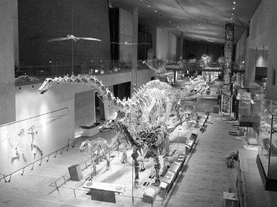 北九州市立自然史·历史博物馆导入节电系统