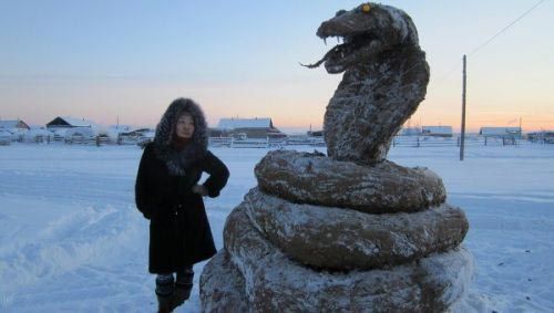 俄罗斯农夫用牛粪造雕塑迎蛇年