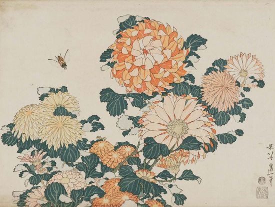 《菊花》，葛饰北斋，1833年-1834年